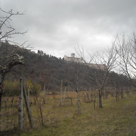 Camere Le Cascatelle Assisi Exteriör bild