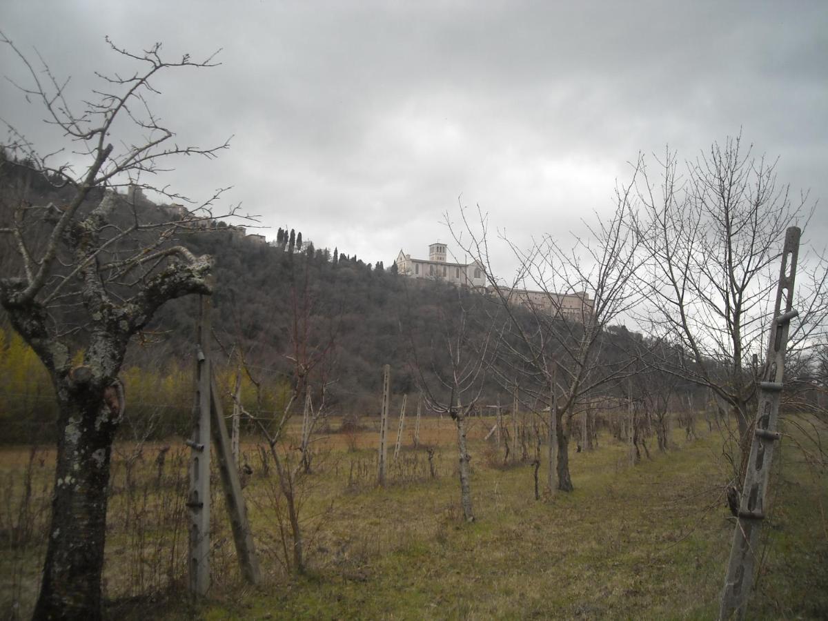 Camere Le Cascatelle Assisi Exteriör bild